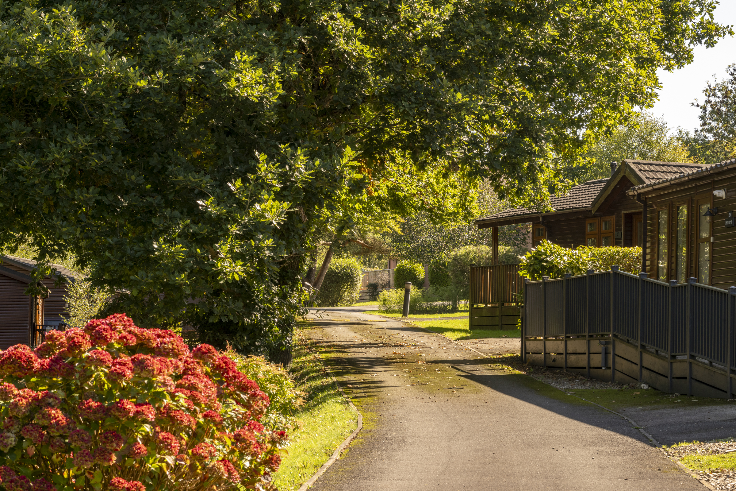 Sunlight on the lodges at Willow Bay
